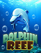 เคล็ดลับการเล่นบา คา ร่า ฝาก ออ โต้ อย่างมือโปร